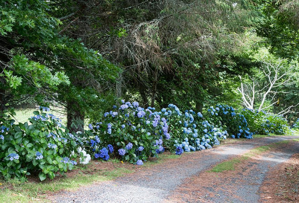 Doolans Country Retreat B&B Rotorua Exterior foto
